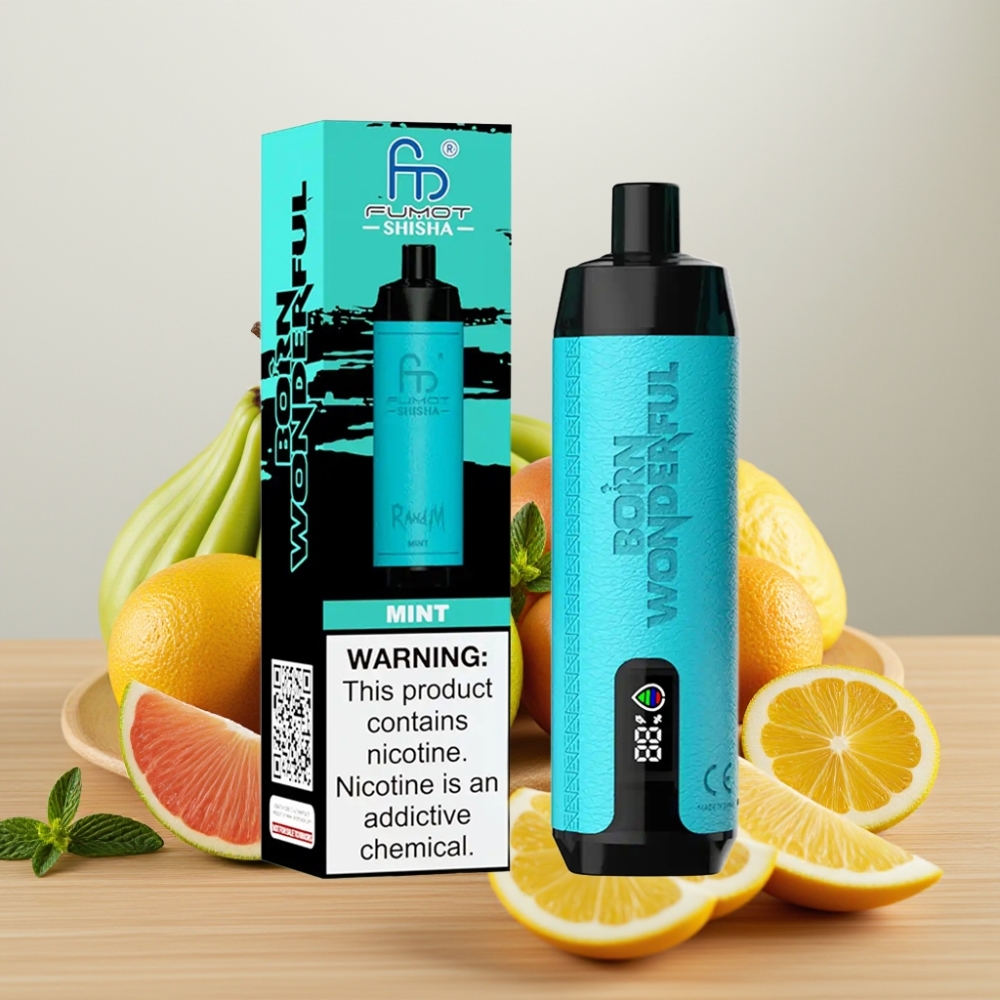 RandM Fumot Shisha 10000 Pufova Dispozabil Vape sa LED Indikatorom i 18ml Tekućine – Mentol