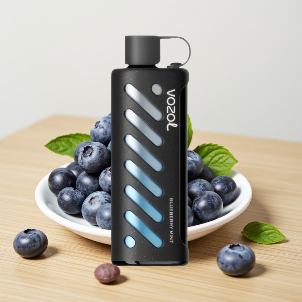VOZOL Gear Shisha 25000 Pufova Dual Mesh Mod Borovnica Met 1000mAh