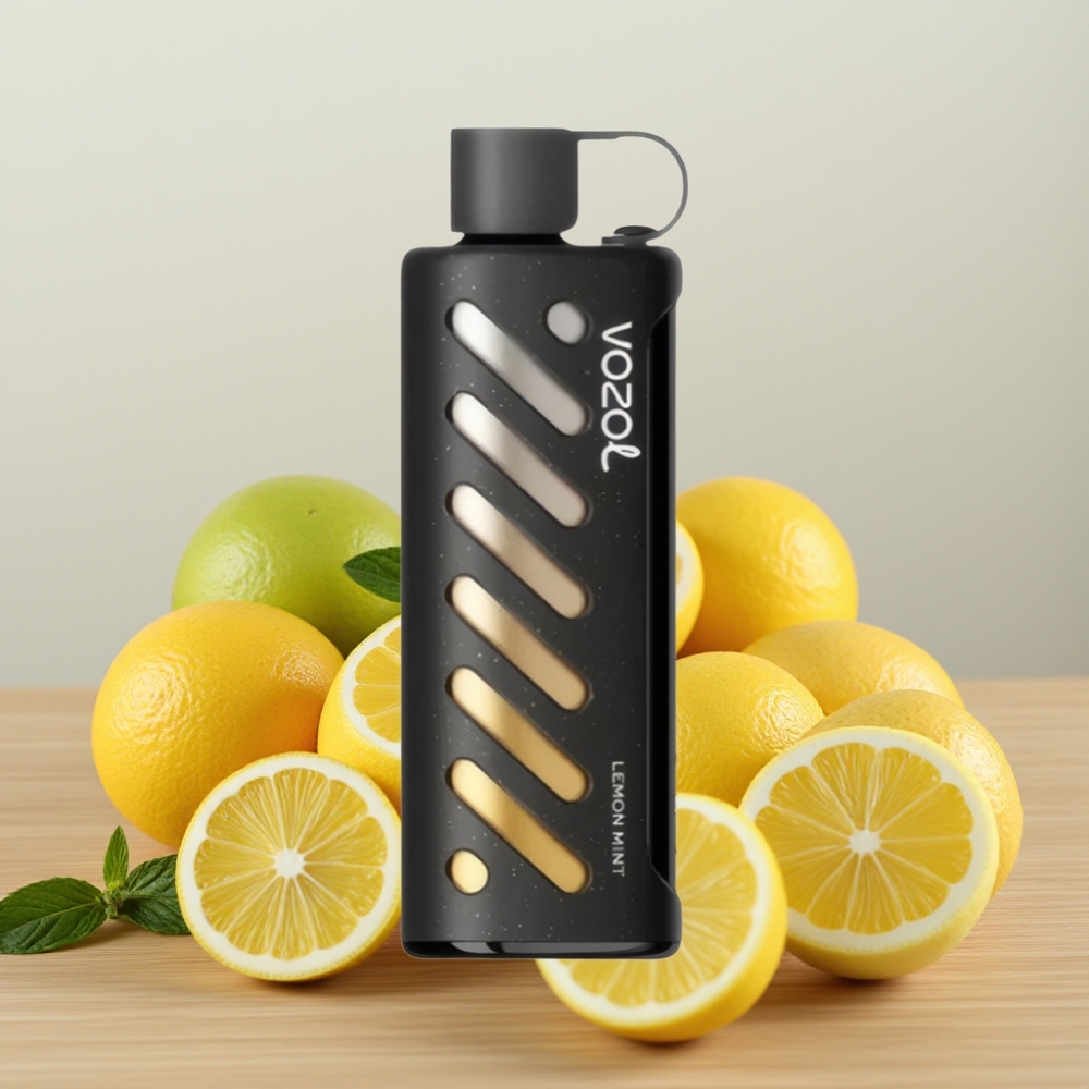 VOZOL Gear Shisha 25000 Pufova Limun Nana Dual Mesh S.i.L.C Tech