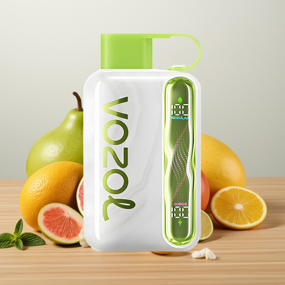 VOZOL STAR 40000 Disposable Vape 1000mAh Tip-C Osvežavajuća Menta