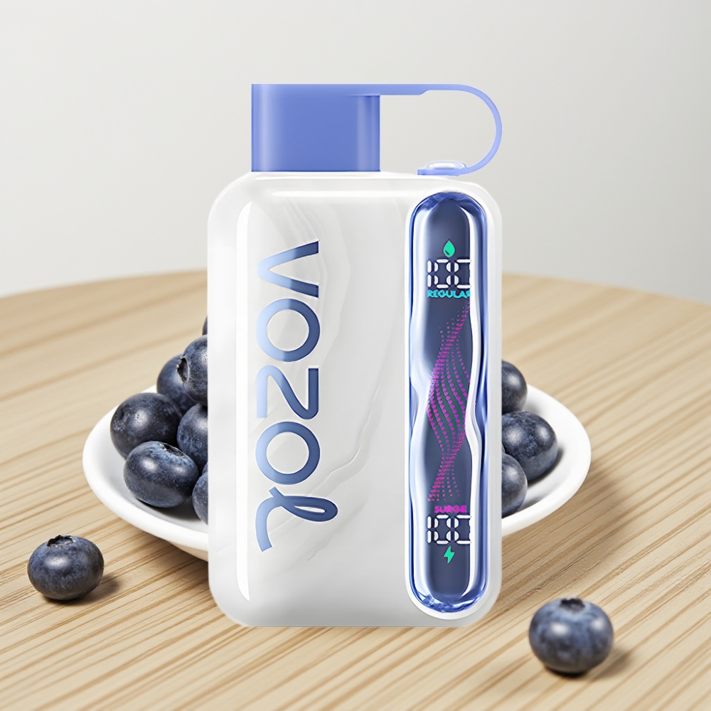 VOZOL STAR 40000 Disposable Vape Borovnica Led 1000mAh Type-C 20/50mg/ml