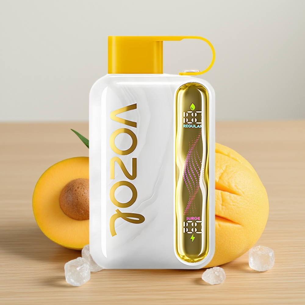 VOZOL STAR 40000 Pufova Disposable Vape Mango Led 1000mAh Type-C 20/50mg
