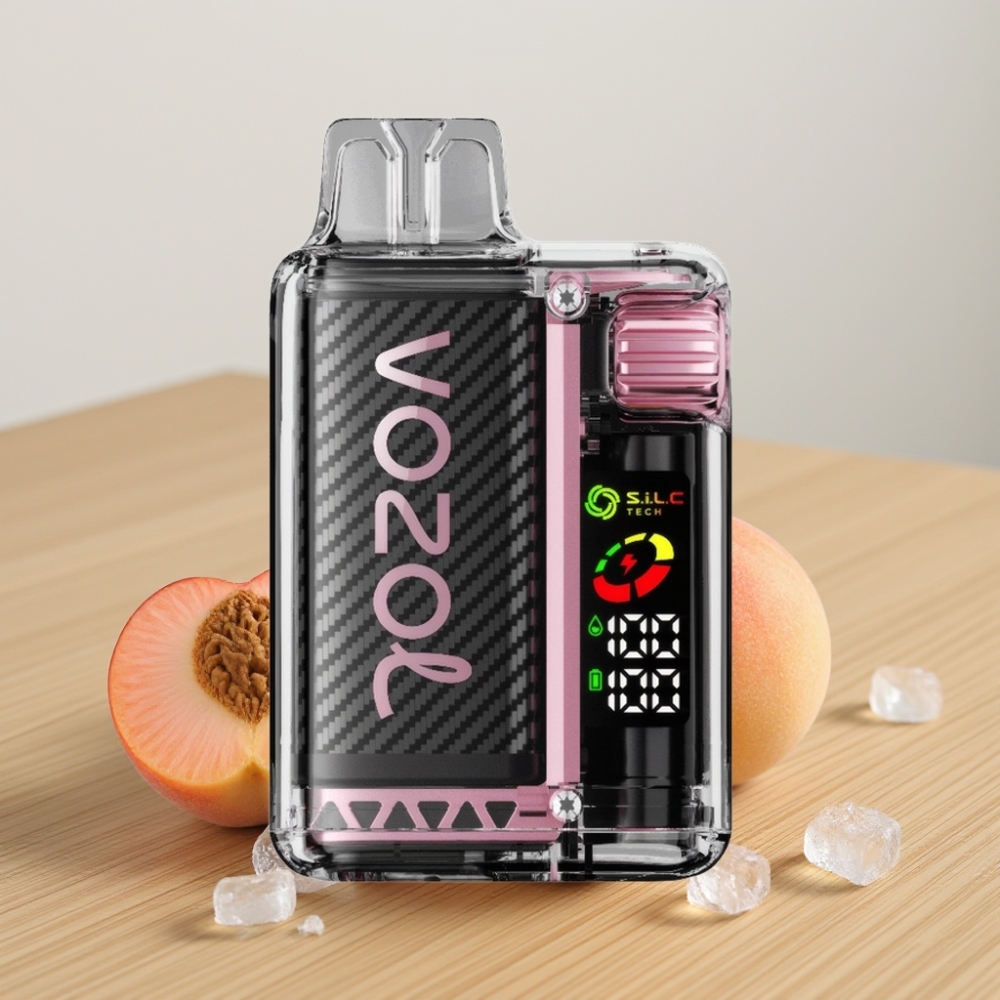 VOZOL Vista 20000 Pufova Baterija 650mAh OLED Ekran Breskva Led