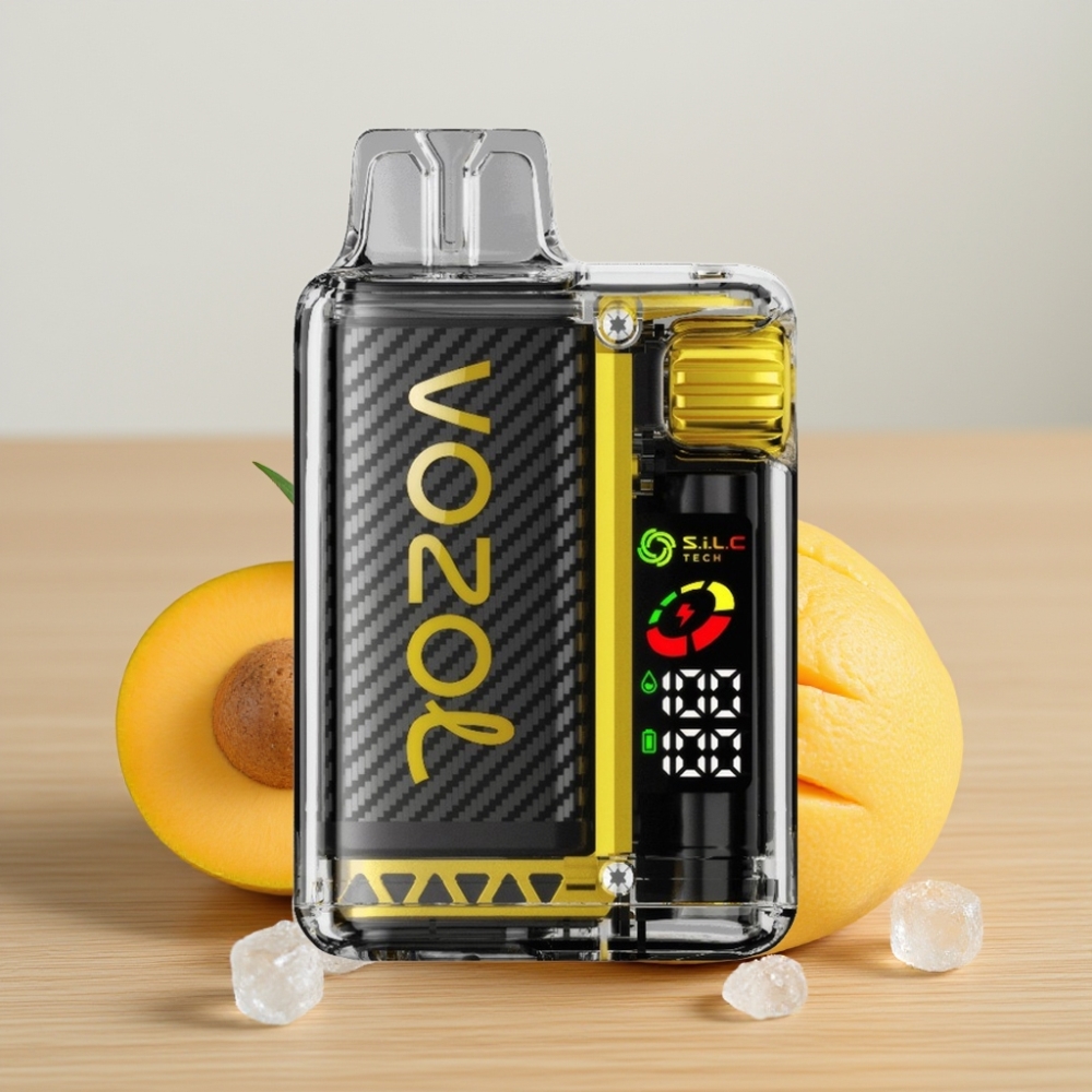 VOZOL Vista 20000 Pufova Punjiva Baterija 650mAh 2% Nikotin Mango Led
