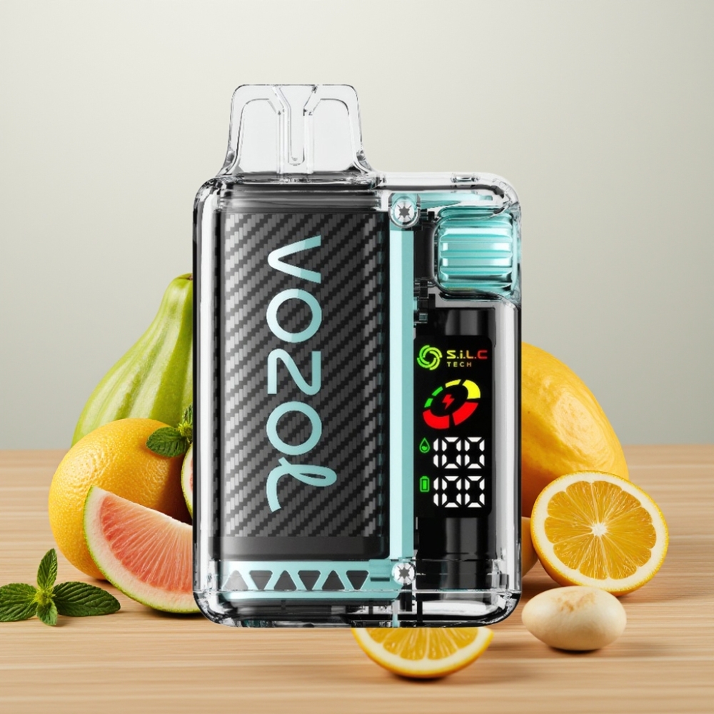 VOZOL Vista 20000 Pufova Punjiva Baterija 650mAh Miami Menta S.iL.C Tech Dual Mesh Coil
